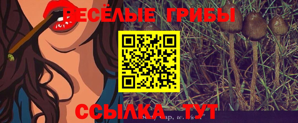 Псилоцибиновые грибы GOLDEN TEACHER  Галлюциногенные грибы Magic Shrooms  Красный Сулин  Вход с VPN 